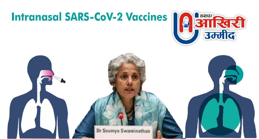 WHO की वैज्ञानिक ने भारत में बनी ‘नेजल वैक्सीन’ को लेकर क्या कहा? पढ़ें